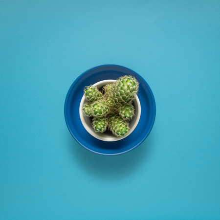 Creative concept photo of kitchenware, painted plate with food on it on blue background.の写真素材