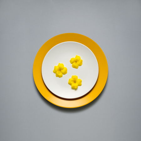 Creative concept photo of kitchenware, painted plate with food on it on grey background.の写真素材