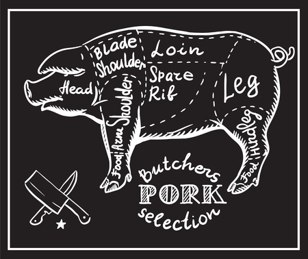 Creative conceptual vector. Sketch hand drawn meat at butchers shop recipe illustration, chalk, ink, line art, vector.のイラスト素材
