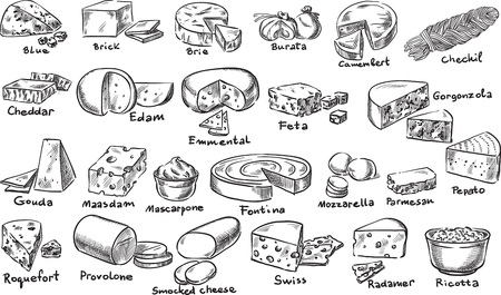 Creative conceptual vector. Sketch hand drawn cheese set illustration, engraving, ink, line art, vector.のイラスト素材