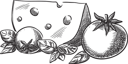 Creative conceptual vector. Sketch hand drawn cheese and tomato illustration, engraving, ink, line art, vector.のイラスト素材