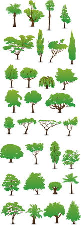 Creative conceptual vector. Drawn tree set.の写真素材