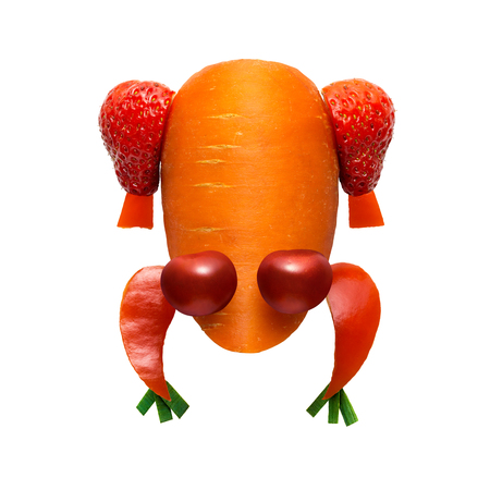 Creative concept photo of frog made of fruits and vegetables on white background.の写真素材