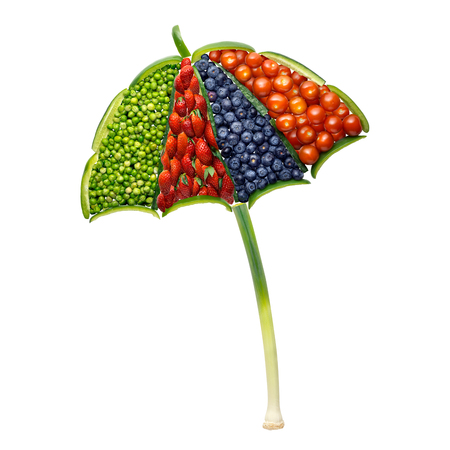 Creative concept photo of umbrella made of fruits and vegetables on white background.の写真素材