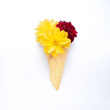 Creative concept still life nature green photo of flowers in bloom with food sweet ice cream waffle cone on white background.の写真素材