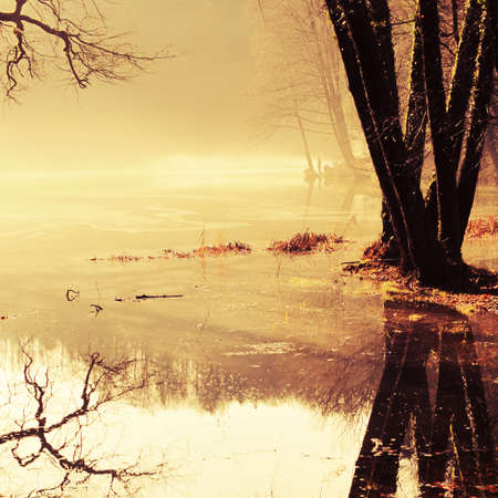 Morn9ing landscape with person in distanceの写真素材