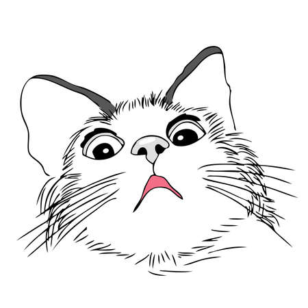 Scared, worried cat, hand draw illustrationのイラスト素材