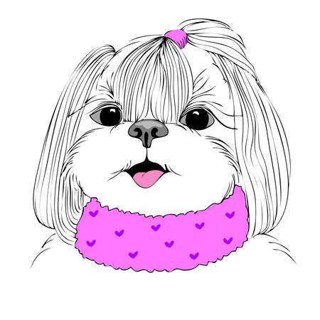 fashion portrait of doggy girl in pink, hand drawn vectorのイラスト素材