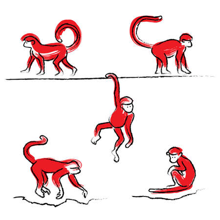 Hand Drawn Chinese New Year Monkeysのイラスト素材