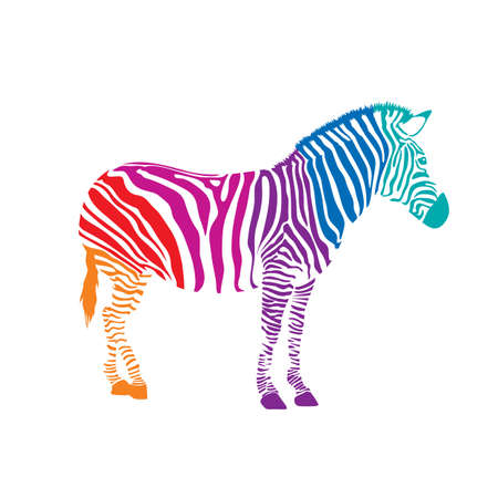 Colorful  Zebra, illustration isolated on white backgroundのイラスト素材