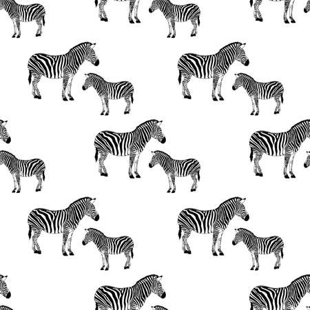 zebra black and white seamless backgroundのイラスト素材