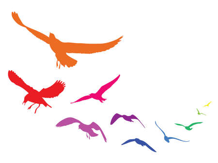 Colorful silhouettes of flying seagulls,  illustration birds, isolated on white backgroundのイラスト素材