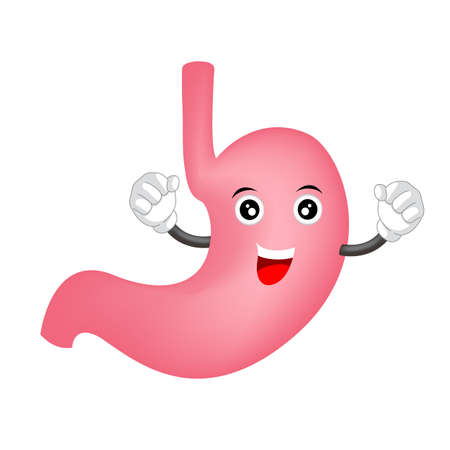 Cute cartoon stomach character. Healthy internal organ concept. Illustration isolated on white background.のイラスト素材