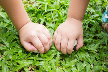 Children hands on grass. Pick up small footballs.の写真素材