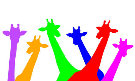 Group of cute giraffes peeking. you can see only the head and neck of a giraffe. cartoon drawing graphic design, vector art illustration. Colorful silhouette isolated on white background.のイラスト素材