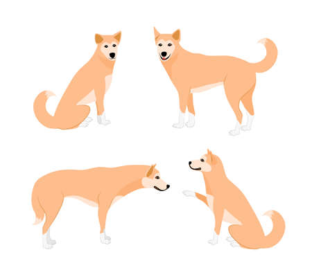 Set of cute dogs. Vecter illustration isolated on white background. Dog icons collection for cynology, pet clinic and pet shop.のイラスト素材