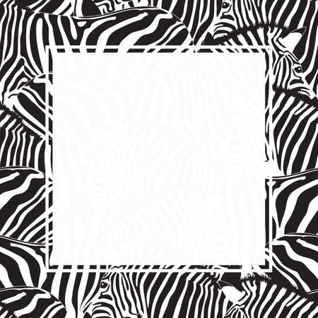 Zebra print border design. Animal skin texture. Black and white seamless pattern with square frame, space for your text. illustation. Separated layer between graphic and background.のイラスト素材