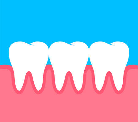 Teeth with human gum, flat style. Dental care concept, illustration.のイラスト素材
