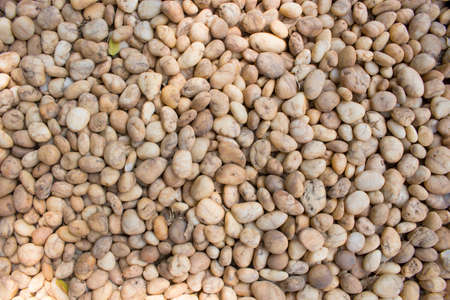 Coarse grained pebble stones. stones floor texture background.  White and brown in the garden or...