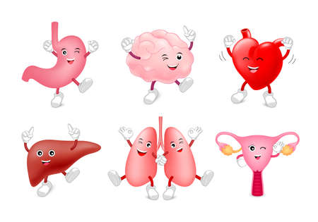 Set of funny cute cartoon internal organs. Healthy characters of brain, lung, stomach, heart, liver and uterus.  Illustration isolated on white background.のイラスト素材
