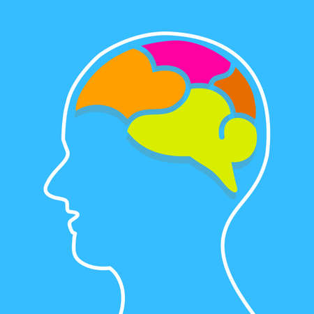 Infographics human brain design template. Split into four parts. Vector illustration isolated on blue background.のイラスト素材