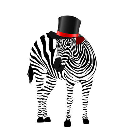 Zebra with black hat. Wild animal texture. Striped black and white. Vector illustration isolated on white background.のイラスト素材