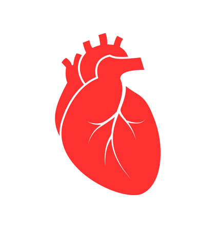 Human heart icon, flat style. Vector illustration isolated on white background.のイラスト素材