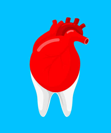 Human heart and tooth as a partner.  Icon design. Oral health and heart disease hygiene concept caused by dental plaque and gum disease due to mouth bacterial infection. Vector illustration isolated on blue background.のイラスト素材