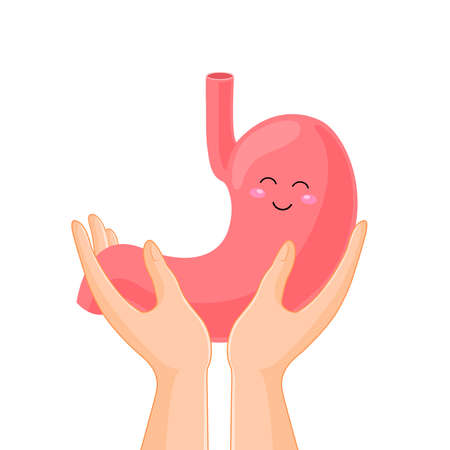 Hand holding human organ, stomach. Human body part, internal organs. Health protection concept. Vector illustration isolated on white background.のイラスト素材