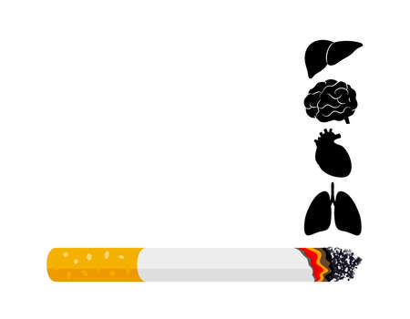 Smoking is harmful to human organs. Resulting in organ damage and premature. Illustration.のイラスト素材