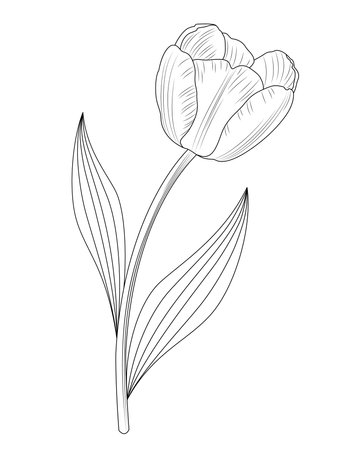 Tulip icon design. Doodle style. Design, print, decor, textile, paper. Vector illustration.のイラスト素材