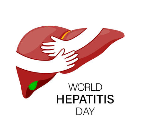 Hands embrace human liver. World hepatitis day. Health care concept. Vector illustration.のイラスト素材