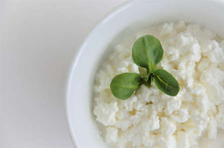 cottage cheese with cream in a white plate on a white background. High quality photoの写真素材