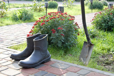 rubber black boots after gardening next to a shovel. High quality photo
