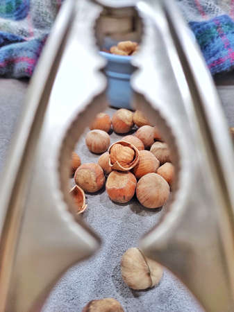 close-up image of selective focus of hazelnuts in shells and a plate with peeled hazelnuts, against a dark background. Some are shot and some are cracked. Cracking nuts requires a metal nut cracker. High quality photoの写真素材