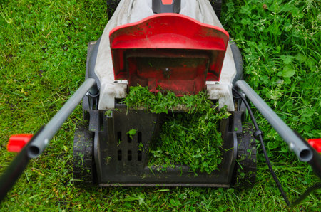 lawn mower mows grass on the lawn. High quality photoの写真素材