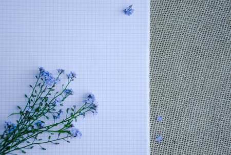 Forget-me-not flowers on a piece of paper, background. High quality photo