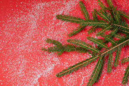 Spruce branches on a red background are sprinkled with snow in the form of coconut flakes. Christmas or new year background concept. High quality photoの写真素材