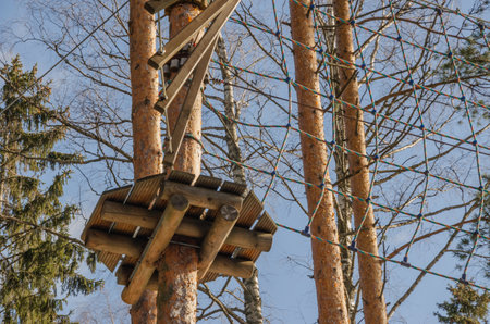 Rope course in the forest for outdoor activities. High quality photo