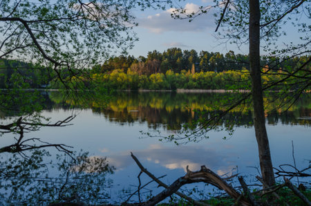 Beautiful landscape of the lake through the branches of trees with the reflection of the forest in...