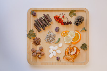 Mix of fruit tree sticks, nuts and herbs for poultry and rodents, meat-free food. High quality photoの写真素材