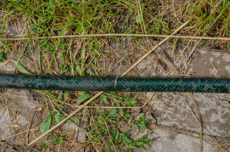 The hose is torn and water is pouring. There is a hole in the watering hose. High quality photoの写真素材