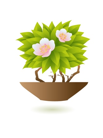 Pink flowers with potのイラスト素材