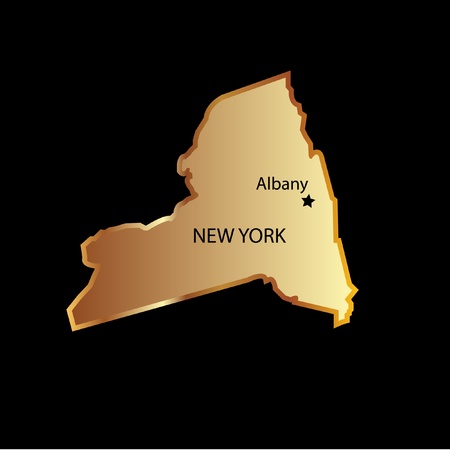New York state usa in gold with capital nameのイラスト素材