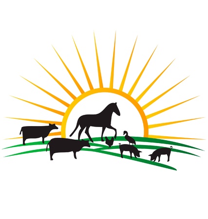 farm animal silhouettes sun and field vectorのイラスト素材