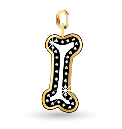Dog bone shine diamonds and gold vector designのイラスト素材