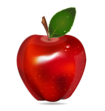 Red Apple fruit vector isolated in white backgroundのイラスト素材