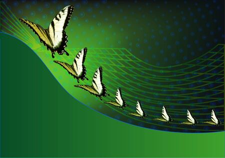 Green background with butterflies aroundの写真素材