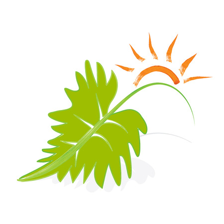 Ecology concept sun and leaf vector imageのイラスト素材