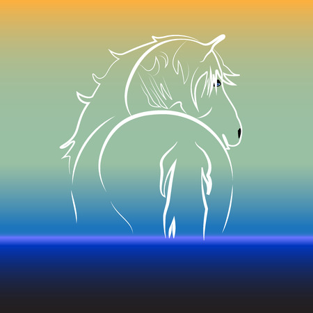 Horse on water.のイラスト素材